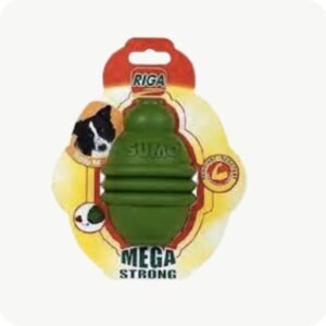 accessoire chien maroc